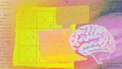 Startups race to build the next LLM breakthrough