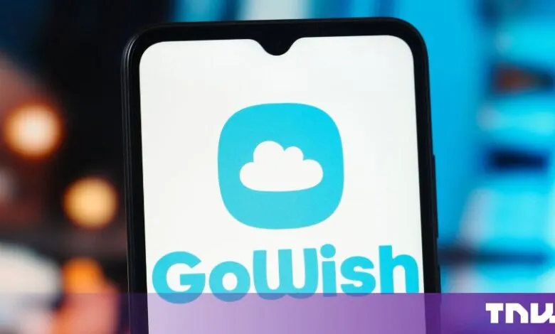 Close-up of a smartphone display showing the GoWish logo featuring a white cloud inside a blue square.