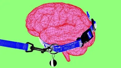 Trump's AI testing plan lacks specifics, scope