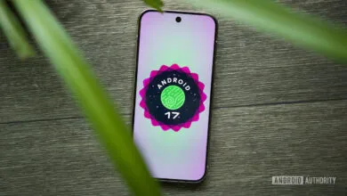 Google revives Pixel gesture spotted over a year ago