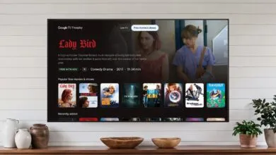 Google Streaming Adds Free Show and Movie Picks