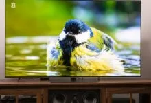LG G5 OLED TV displaying a vibrant macro shot of a colorful bird in water.