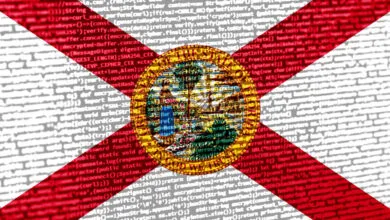 Flag of Florida overlaid with glowing computer programming code and digital data streams.