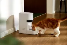 An orange and white cat eats from a modern white automatic pet feeder on a wooden floor.