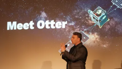 Spacecraft Firm Releases Otters Into Wild After 7 Years