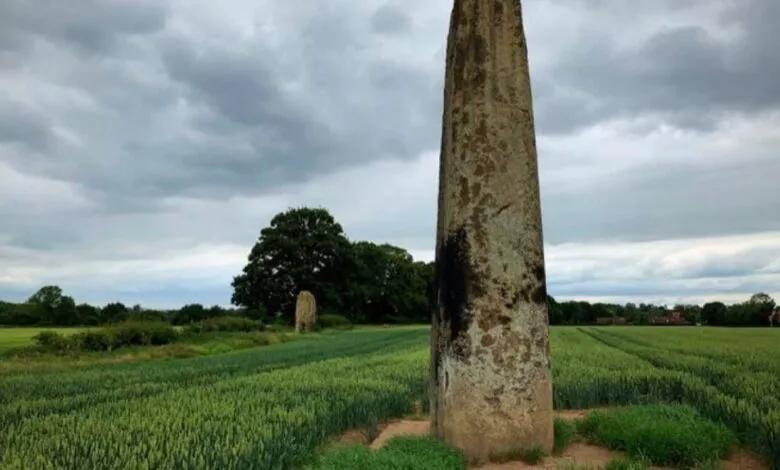 Ancient tall stone monolith stands prominently in a vibrant green crop field under a cloudy sky.