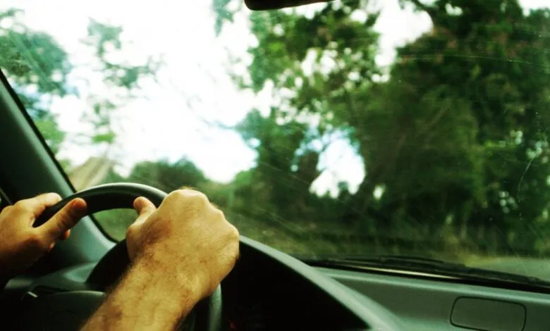 Driver's view from inside a car steering wheel with lush green trees visible through the windshield.