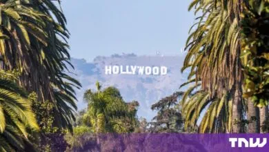 The iconic white Hollywood sign nestled on a distant hill, framed by tall tropical palm trees.