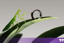 A vibrant green praying mantis examines a smart ring resting on a leaf against a neutral background.