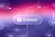 A glowing digital flowchart graphic featuring a central button labeled Granted with a key icon.
