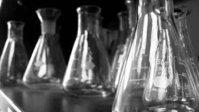 Close-up black and white shot of Erlenmeyer flasks lined up on a dark lab shelf.