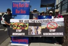 Group of activists holding protest banners against geoengineering and GMOs on a sunny day