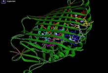 3D computer model of bacteriochlorophyll a with green ribbons and colorful carbon rings on black background.