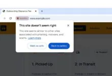 Google Chrome security warning popup stating This site doesn't seem right over a suspicious website.