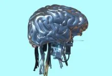Metallic human brain connected to digital circuits and wires against a light blue background.