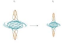 Diagram showing complex vortex line dynamics transitioning between time t1 and t2 on a white background.