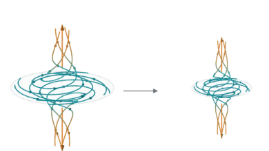 Diagram showing complex vortex line dynamics transitioning between time t1 and t2 on a white background.