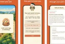 Three smartphone screens displaying the Waddle World app interface on an orange background.