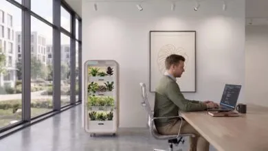 Man working at a wooden desk in a bright modern office next to a multi-tier indoor plant grower