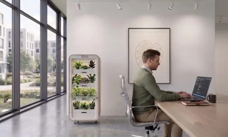 Man working at a wooden desk in a bright modern office next to a multi-tier indoor plant grower