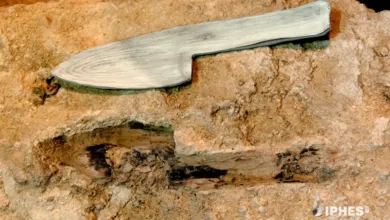 An ancient wooden knife replica placed over its corresponding imprint in stone.