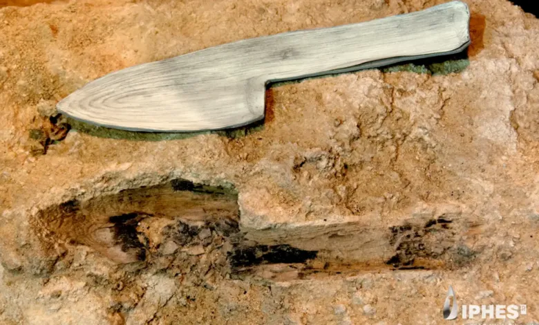 An ancient wooden knife replica placed over its corresponding imprint in stone.