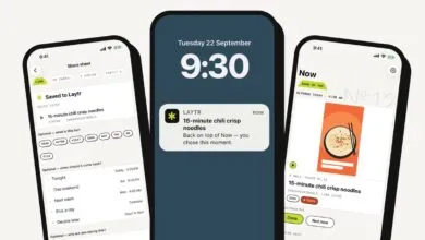 Three smartphones displaying different screens of the Laytr mobile app interface.