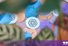 Colorful circular OpenAI logo stickers scattered on a pink surface with blurred green leaves in the foreground.