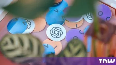 Colorful circular OpenAI logo stickers scattered on a pink surface with blurred green leaves in the foreground.