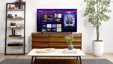 Modern living room featuring a Roku TV on a wooden console with streaming apps displayed.