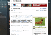 A computer screen showing a Wikipedia article about Dachshunds with a sidebar of bookmarks.
