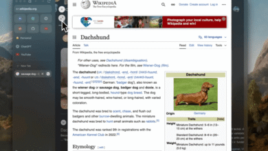A computer screen showing a Wikipedia article about Dachshunds with a sidebar of bookmarks.